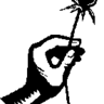 Profilbild von aMo Kaidi