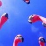 DAVID's profile picture