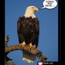 Dave Ackerman's profile picture