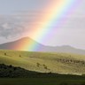 Фото профиля afra buafra