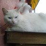 へたれ雄之 profil fotoğrafı
