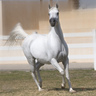 Profilbild von aliabuhassan