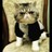 Profilbild von 兜小小