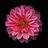 bouthinamoussa's profile picture