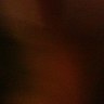 Profilbild von SEED