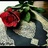 Profilbild von lana Al. Balushi
