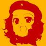 Profilbild von Marco Rastrelli