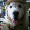 Profilbild von まりんブ~