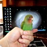 Profilbild von ぬっぽん