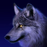 Profilbild von WolfBlood