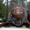 Debi Smith's profile picture