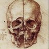 Profilbild von THE SKULL