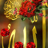 Profilbild von نبيل حنفي