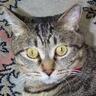 青木茂 profil fotoğrafı