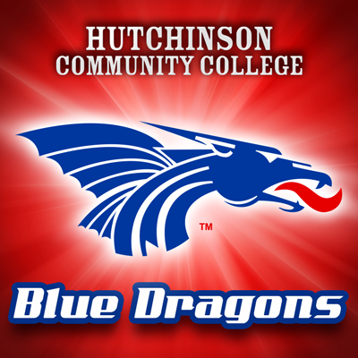 Blue Dragon Sports's profile picture