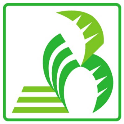 Borderink's profile picture