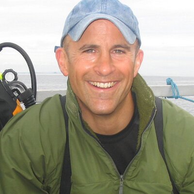 Sealdiver's profile picture