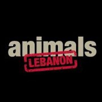 AnimalsLebanon's profile picture
