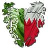 Фото профиля فهد منصور