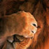 Profilbild von TheLazyLion