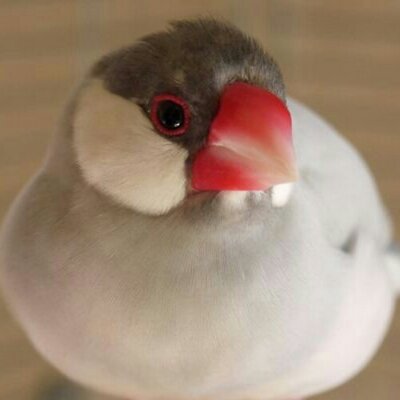 まさよ（7200BIRDIE）'s profile picture