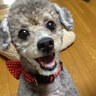 mamaron 的头像
