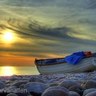 شاطئ.. profil fotoğrafı