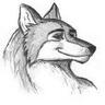 Profilbild von Wulfie
