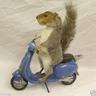 Profilbild von Eddie See