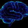 WeeklyNeuro profil fotoğrafı