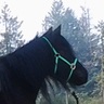 Heidi's profile picture