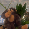 Sir Darryl Adams is now voradams@spoutible.com 的头像