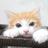 銀☆'s profile picture