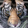 โป Wanderlei Silva ๐ฎ๐ฉ๐ฎ๐นโป's profile picture