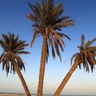 Lubna A Al-Ansary لبنى الأنصاري profil fotoğrafı