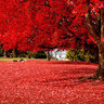 Фото профиля Renee Watson