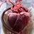 agnes_brain's profile picture