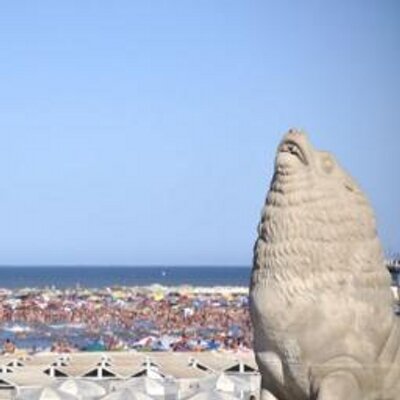 Mar del Plata's profile picture