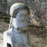 Simmo Kavolainen's profile picture