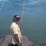 paulo nunes's profile picture
