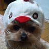 キューB's profile picture