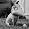 Brenden's profile picture