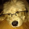 Jerome Lefebvre's profile picture