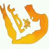 فواد باحشوان's profile picture