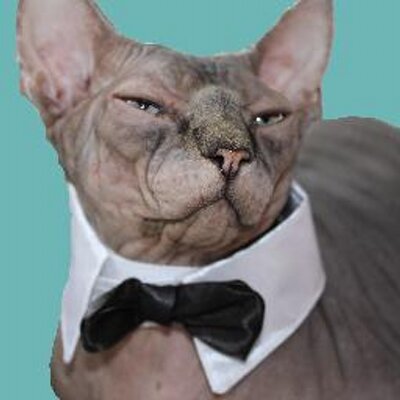 prejidentyogi's profile picture
