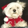 Gpup's profile picture