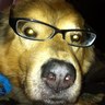 Jenny Crump's profile picture