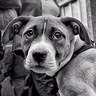 George R. Mutt 🌎's profile picture