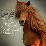 Фото профиля مهره الشمري