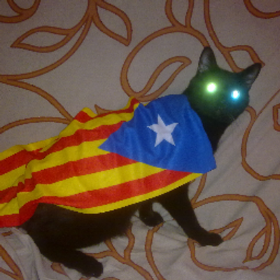 Vicenรง Martรญ's profile picture